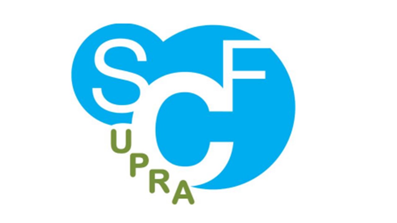SCF groupe Chimie Supramolécualire